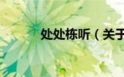 处处栋听（关于处处栋听简介）