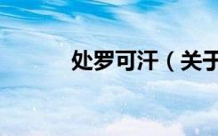 处罗可汗（关于处罗可汗简介）