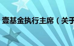 壹基金执行主席（关于壹基金执行主席简介）