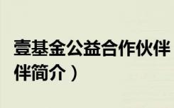 壹基金公益合作伙伴（关于壹基金公益合作伙伴简介）