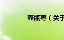 壶瓶枣（关于壶瓶枣简介）