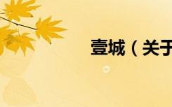 壹城（关于壹城简介）