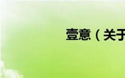壹意（关于壹意简介）