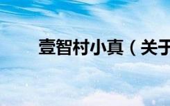 壹智村小真（关于壹智村小真简介）
