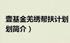 壹基金羌绣帮扶计划（关于壹基金羌绣帮扶计划简介）