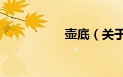 壶底（关于壶底简介）