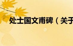 处士国文甫碑（关于处士国文甫碑简介）