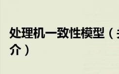 处理机一致性模型（关于处理机一致性模型简介）