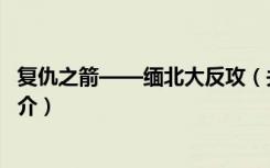 复仇之箭——缅北大反攻（关于复仇之箭——缅北大反攻简介）