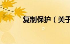 复制保护（关于复制保护简介）