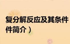 复分解反应及其条件（关于复分解反应及其条件简介）