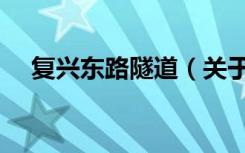 复兴东路隧道（关于复兴东路隧道简介）