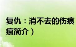 复仇：消不去的伤痕（关于复仇：消不去的伤痕简介）