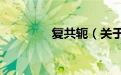 复共轭（关于复共轭简介）