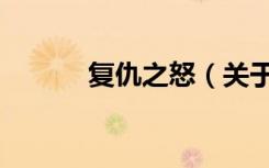 复仇之怒（关于复仇之怒简介）