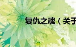 复仇之魂（关于复仇之魂简介）