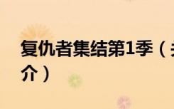 复仇者集结第1季（关于复仇者集结第1季简介）