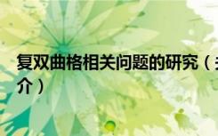 复双曲格相关问题的研究（关于复双曲格相关问题的研究简介）