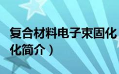 复合材料电子束固化（关于复合材料电子束固化简介）
