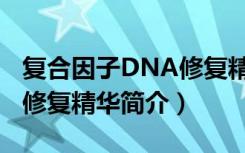 复合因子DNA修复精华（关于复合因子DNA修复精华简介）