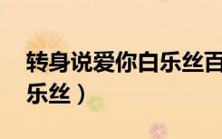 转身说爱你白乐丝百度网盘（转身说爱你 白乐丝）