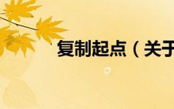 复制起点（关于复制起点简介）