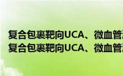 复合包裹靶向UCA、微血管灌注成像与间接分子成像（关于复合包裹靶向UCA、微血管灌注成像与间接分子成像简介）