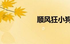 顺风狂小狗（狂小狗）