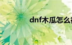 dnf木瓜怎么得（dnf木瓜）