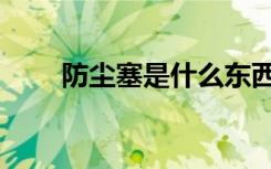 防尘塞是什么东西（防尘塞是什么）