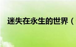 迷失在永生的世界（迷失在 永生 的世界）
