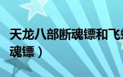 天龙八部断魂镖和飞蝗石哪个好（天龙八部断魂镖）