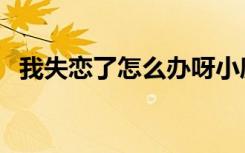 我失恋了怎么办呀小度（我失恋了怎么办）