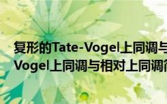 复形的Tate-Vogel上同调与相对上同调（关于复形的Tate-Vogel上同调与相对上同调简介）