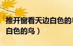 推开窗看天边白色的鸟叫什么（推开窗看天边白色的鸟）