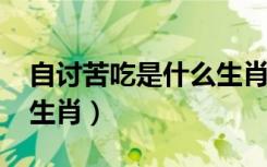 自讨苦吃是什么生肖2021（自讨苦吃是什么生肖）