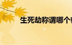 生死劫称谓哪个帅（生死劫称谓）
