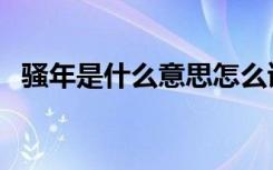骚年是什么意思怎么读（骚年是什么意思）