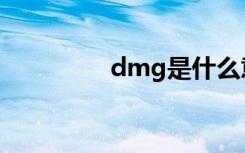dmg是什么意思（dmg）