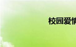 校园爱情小说txt