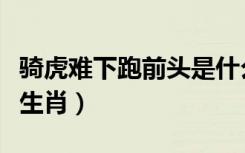 骑虎难下跑前头是什么生肖（骑虎难下是什么生肖）