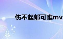 伤不起郁可唯mv（伤不起 郁可唯）