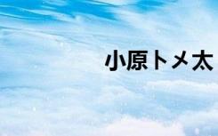 小原トメ太（小原明子）