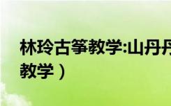 林玲古筝教学:山丹丹开花红艳艳（林玲古筝教学）