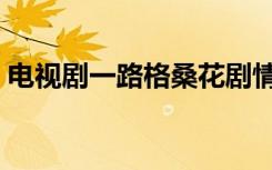 电视剧一路格桑花剧情（电视剧一路格桑花）