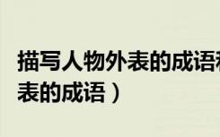 描写人物外表的成语和四字成语（描写人物外表的成语）