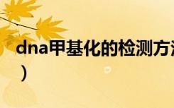 dna甲基化的检测方法（dna甲基化检测方法）