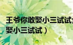 王爷你敢娶小三试试全文免费阅读（王爷你敢娶小三试试）