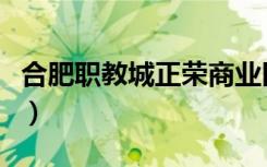 合肥职教城正荣商业区能建成吗（合肥职教城）