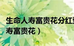 生命人寿富贵花分红型多久取不亏钱（生命人寿富贵花）